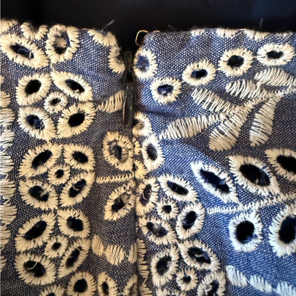 Ann Taylor LOFT Blue and White Embroidered Skirt - Picture 4 of 7